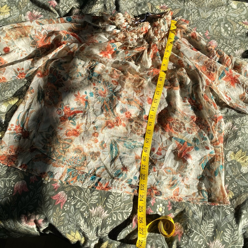 Zara Sheer Floral Ruffle Blouse - Picture 5 of 16